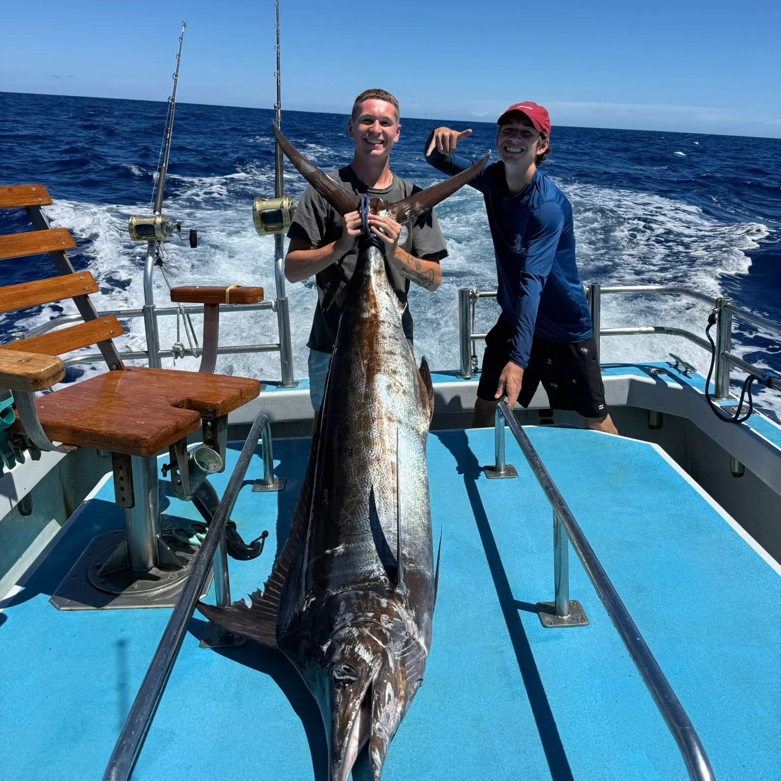The most recent Black marlin catches on Fishbrain