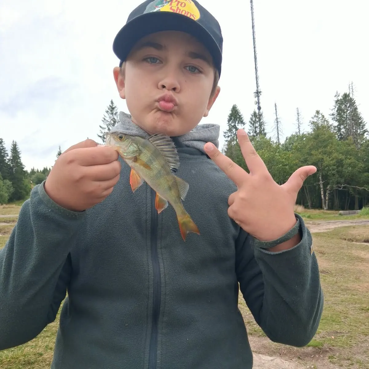 European perch caught on Fishbrain