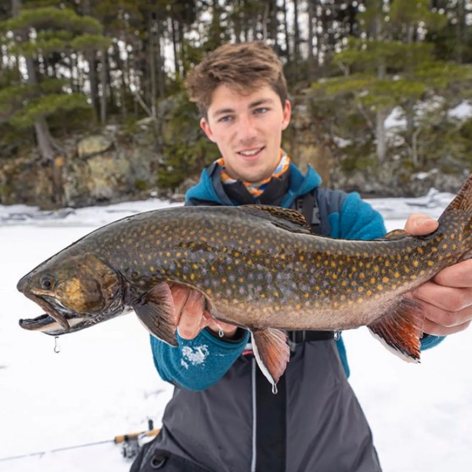 The most popular recent Brook trout catch on Fishbrain