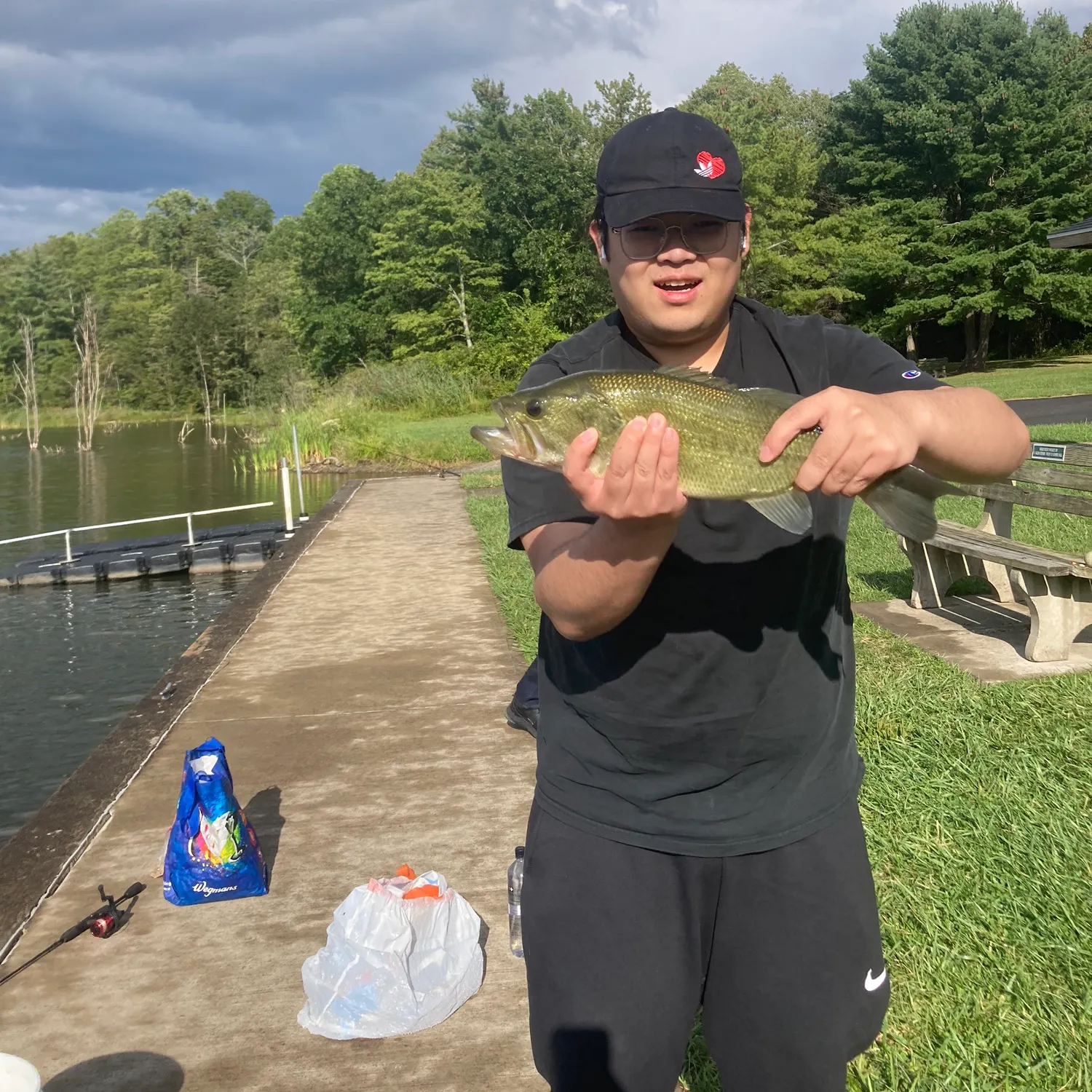 The most recent Largemouth bass catches on Fishbrain