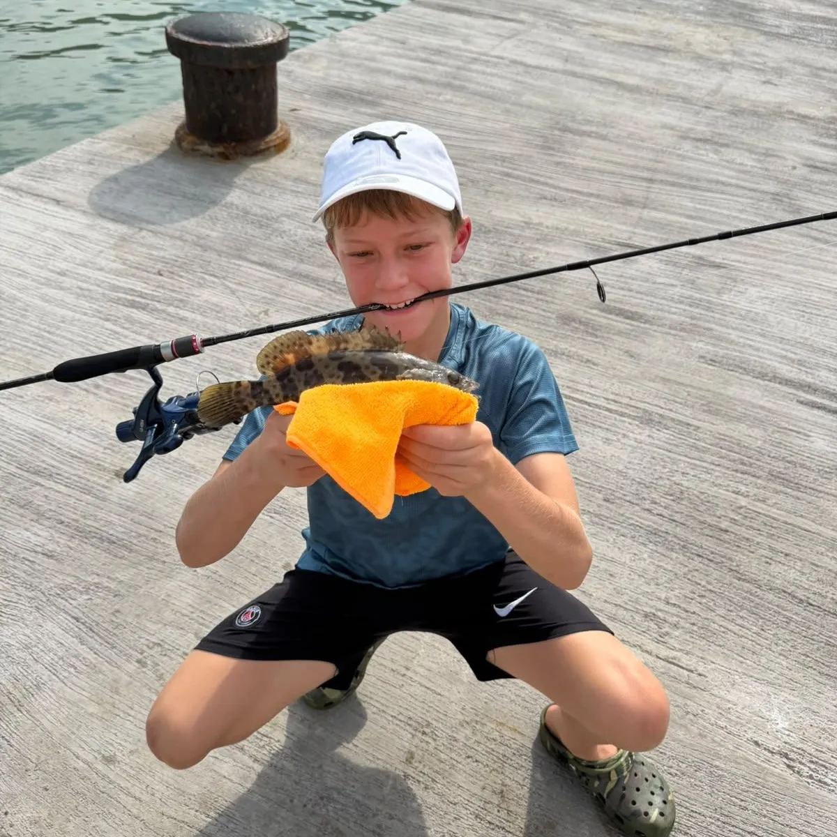 The most recent Orange-spotted grouper catches on Fishbrain