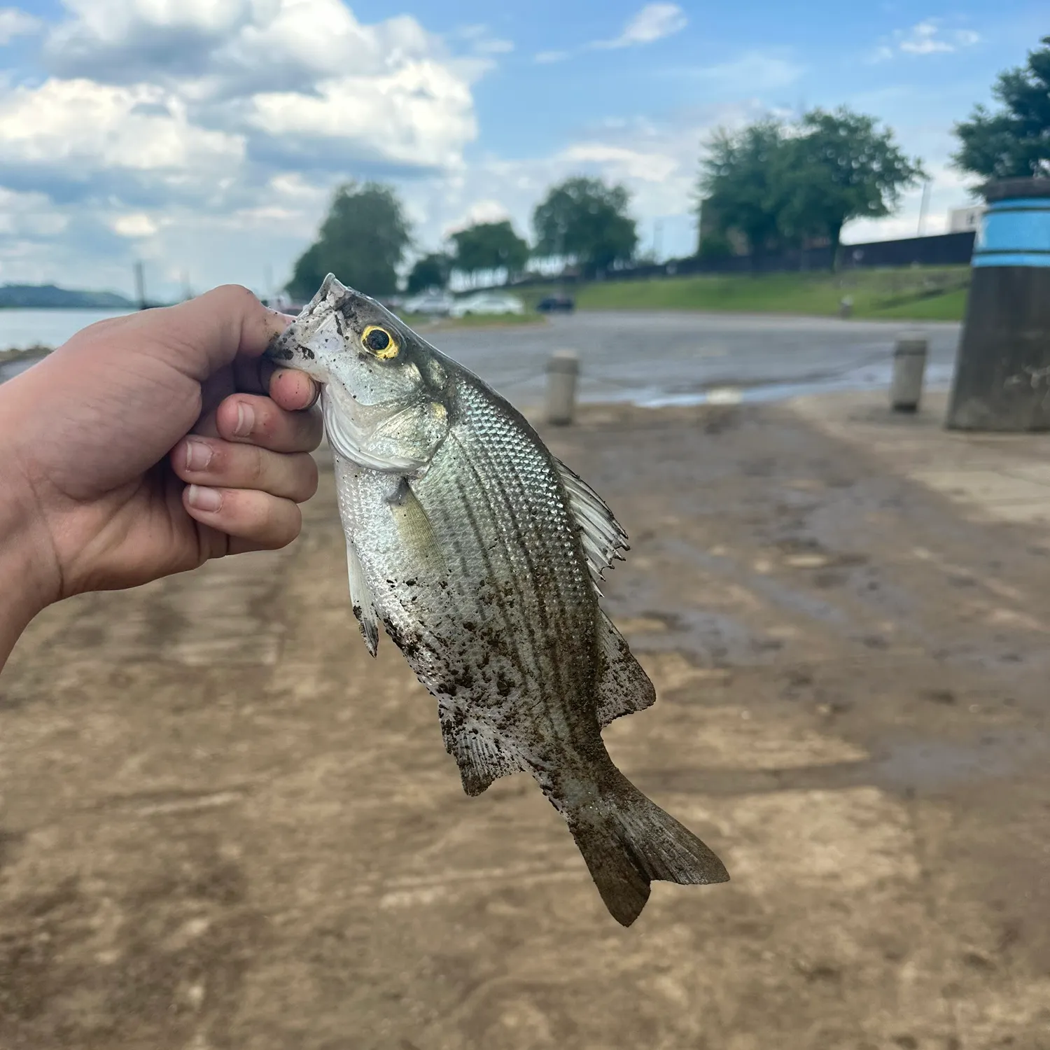 catch