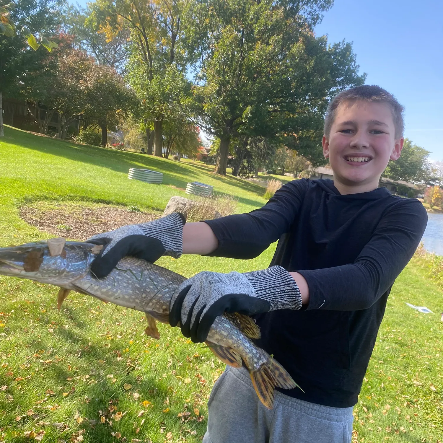 Northern pike caught on Fishbrain
