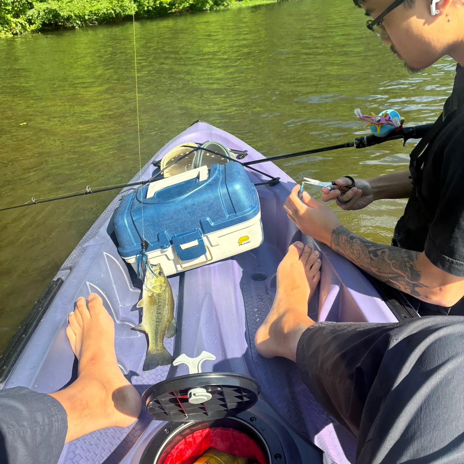 recently logged catches