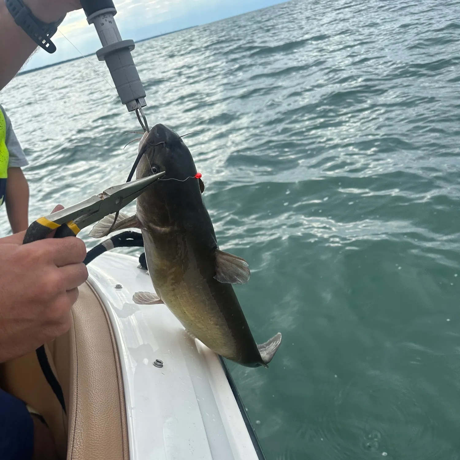 catch