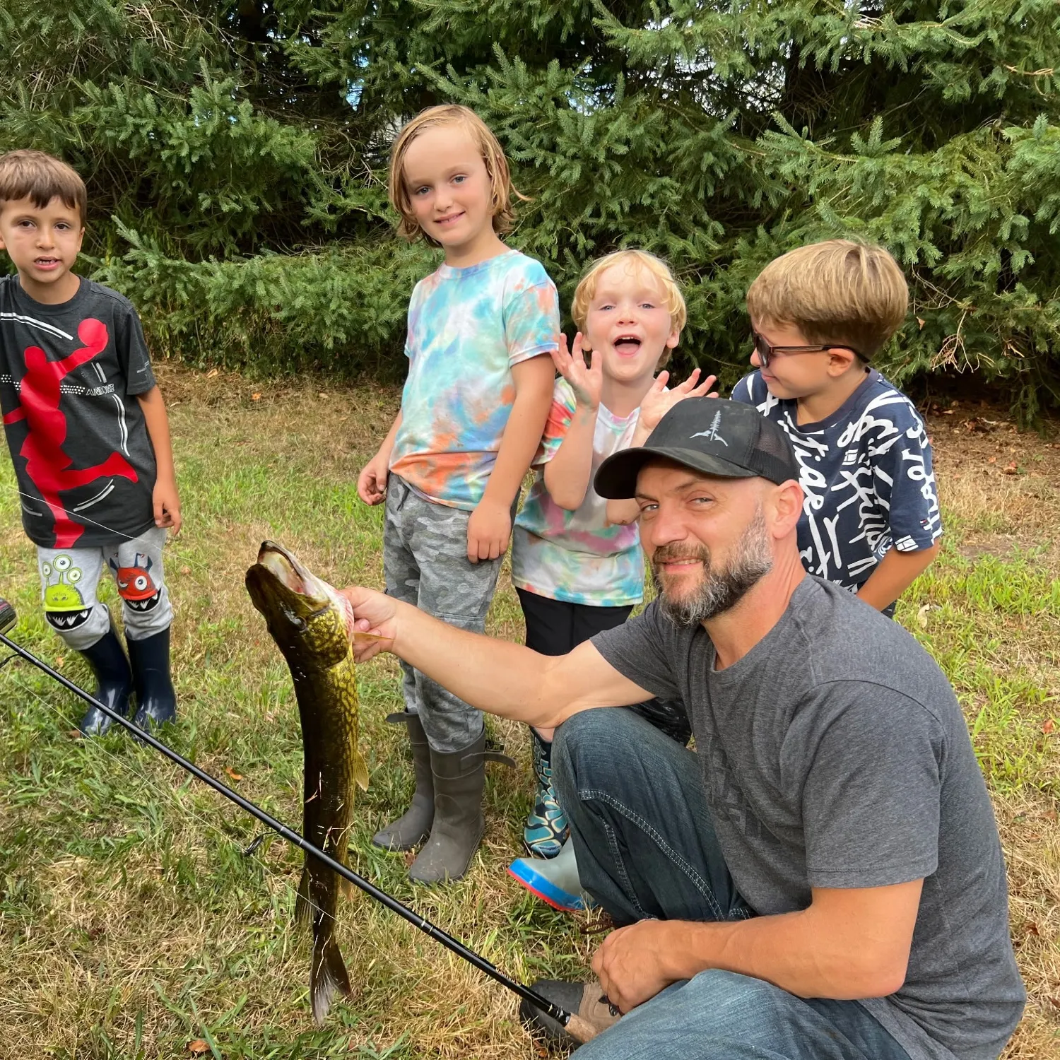 Chain pickerel caught on Fishbrain