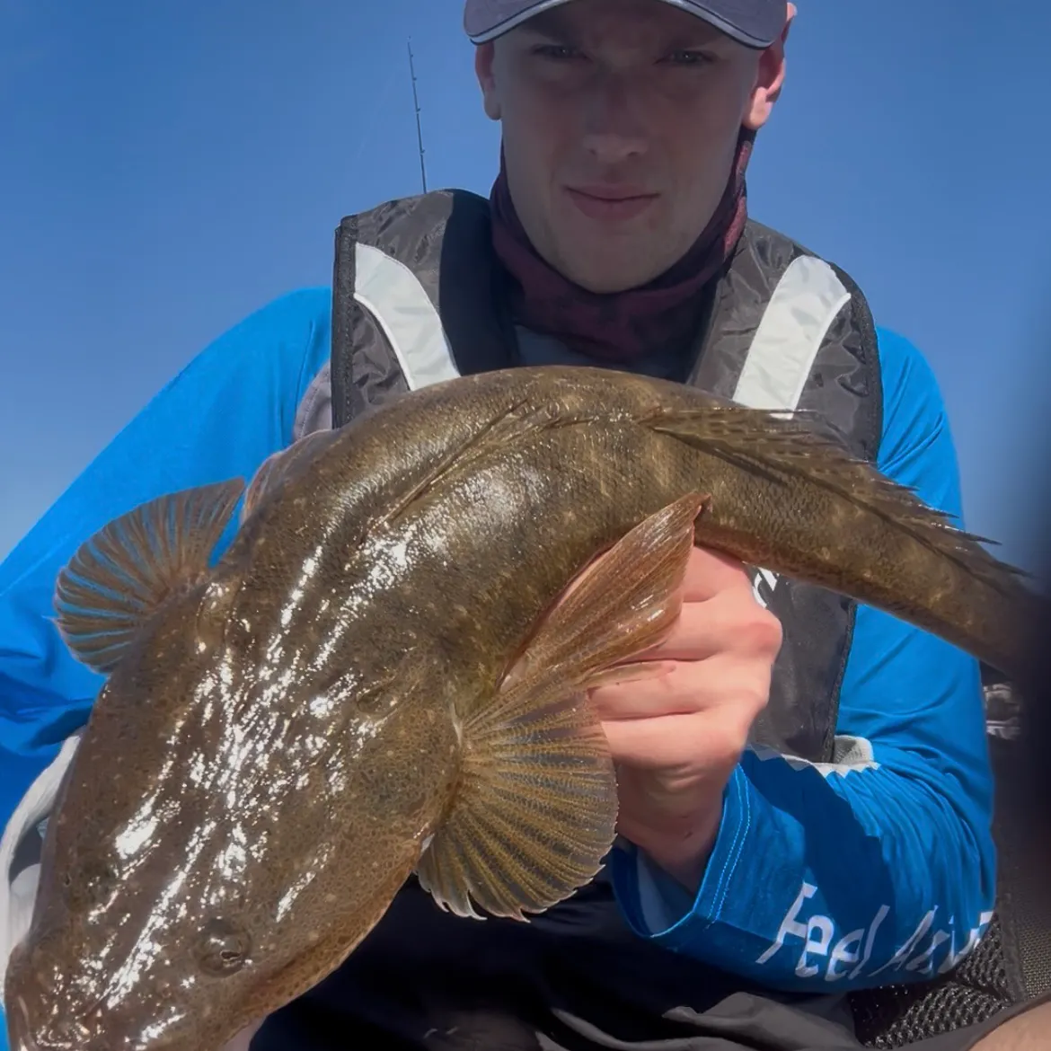 The most recent Dusky flathead catches on Fishbrain