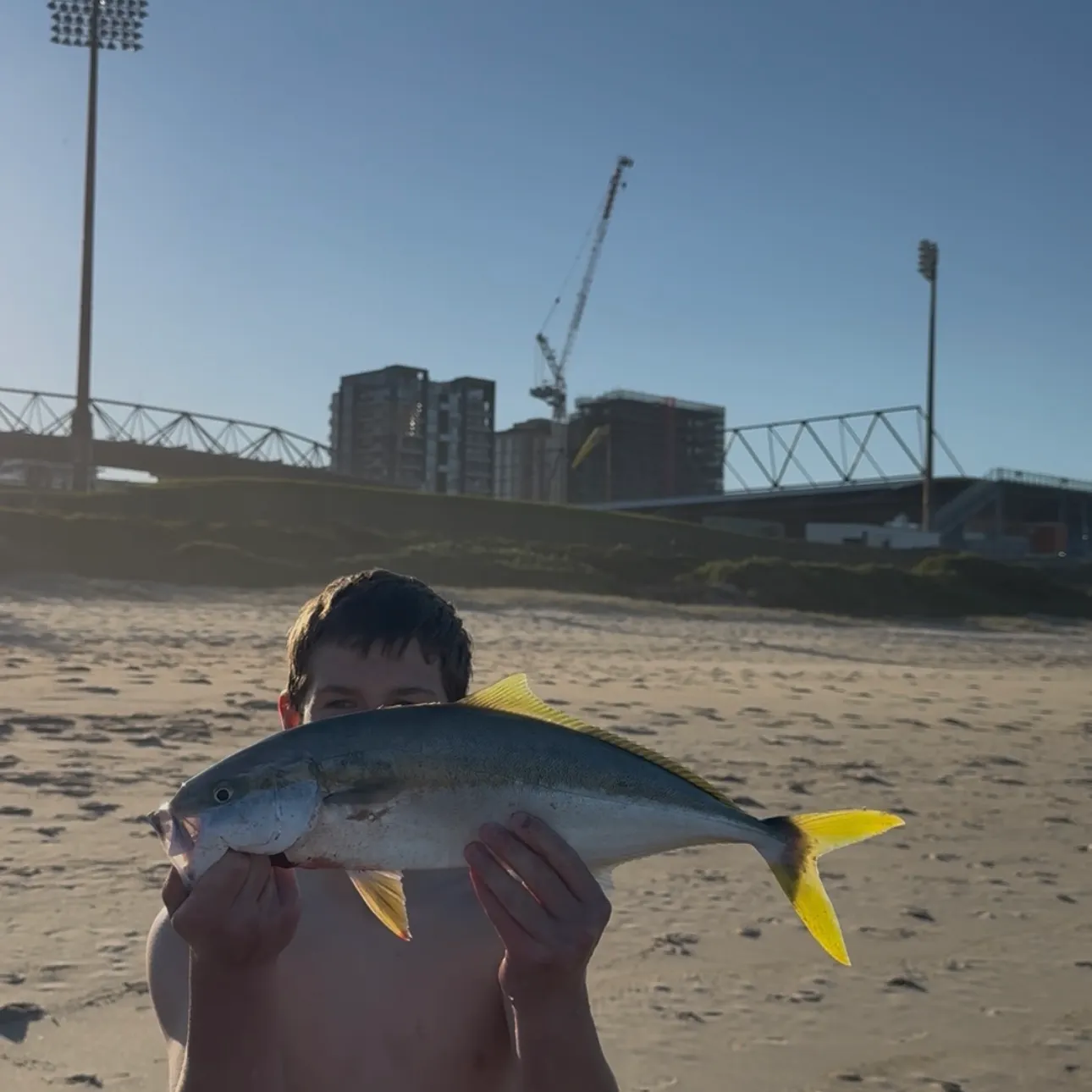 Southern yellowtail amberjack caught on Fishbrain