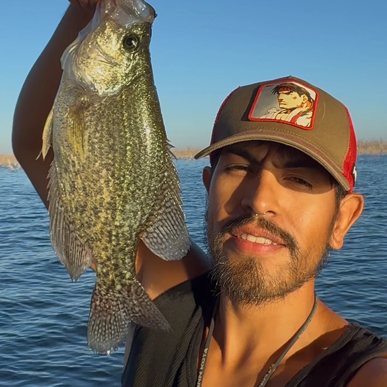 Black crappie caught on Fishbrain