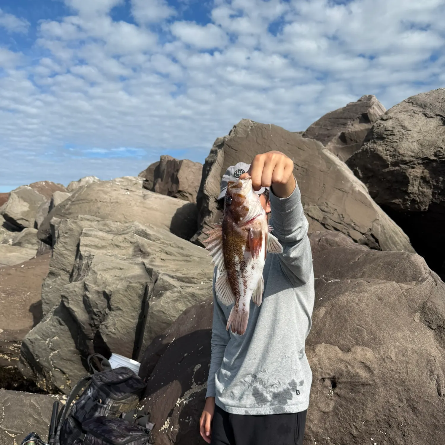 Copper rockfish caught on Fishbrain