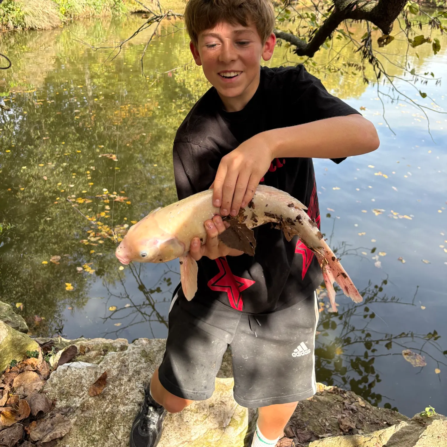 Ghost carp caught on Fishbrain