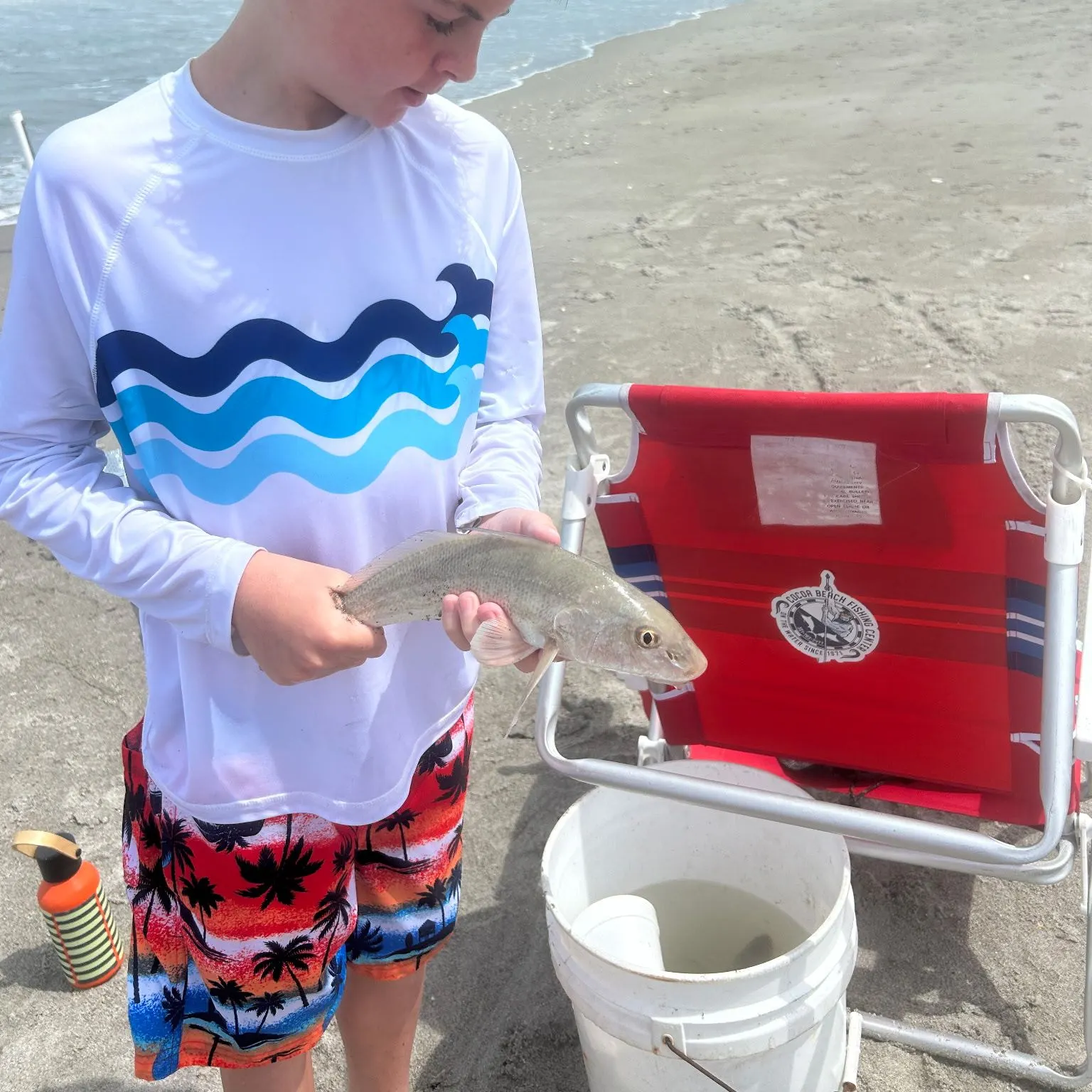 The most recent Whiting catches on Fishbrain