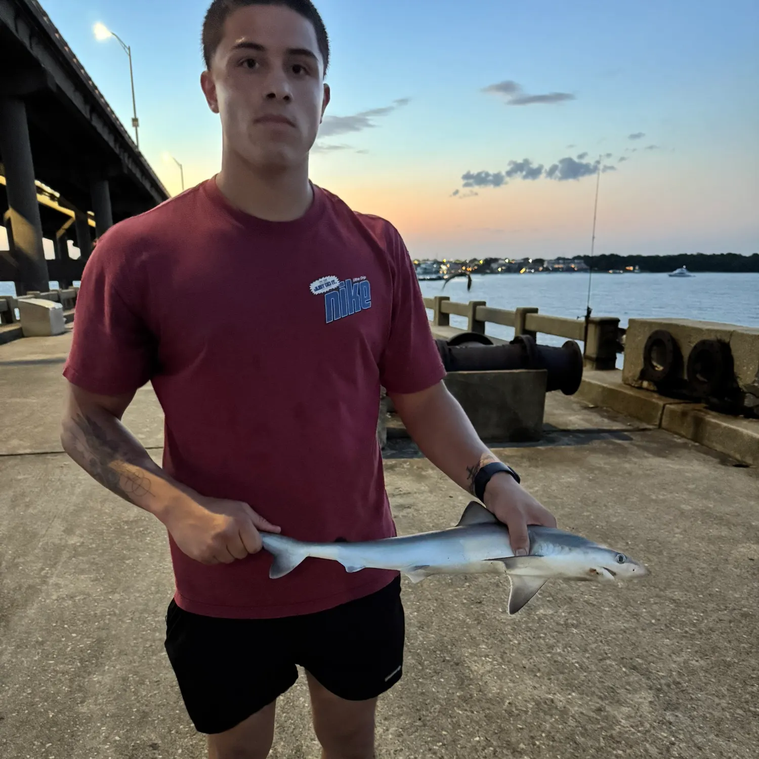 The most recent Silky shark catches on Fishbrain