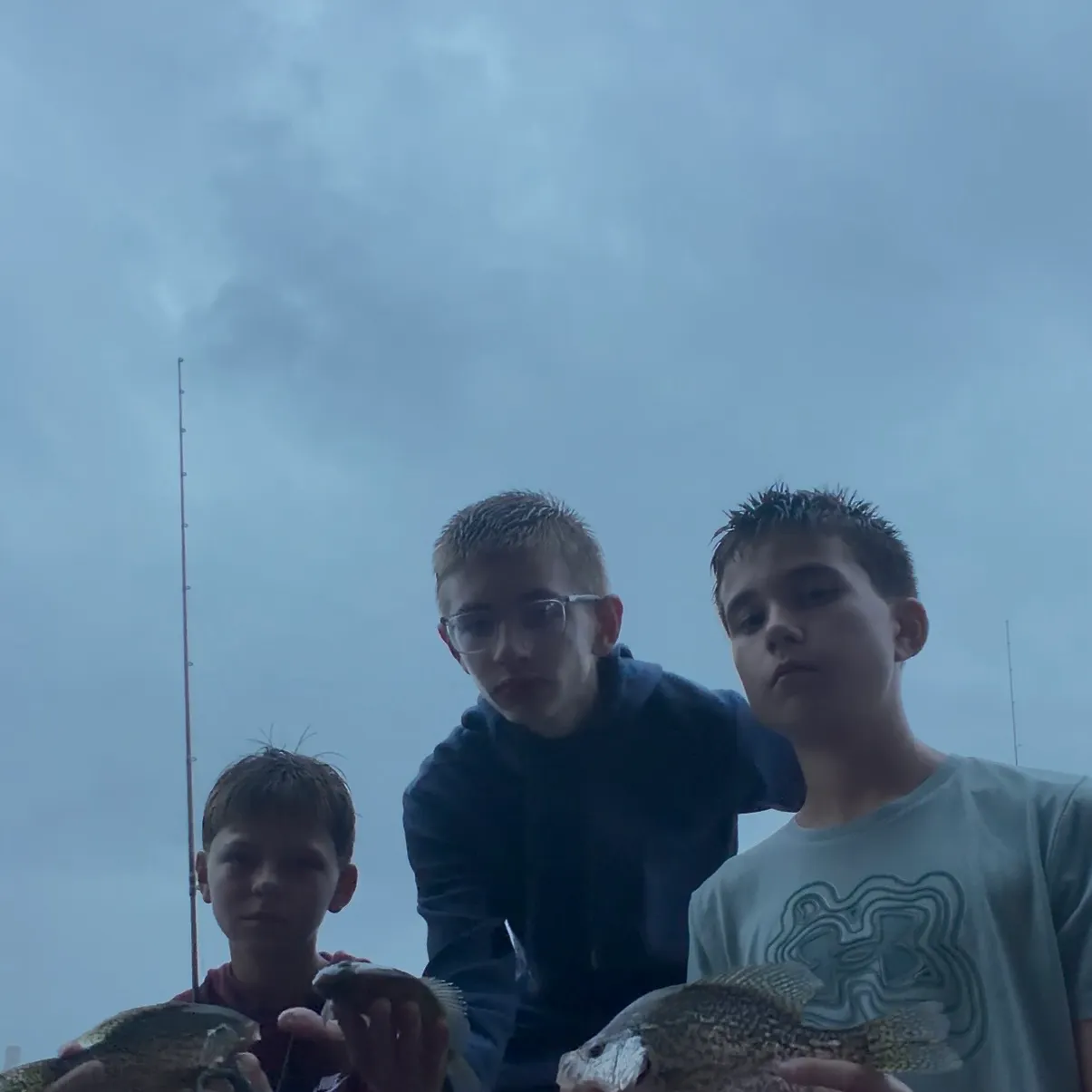 Black crappie caught on Fishbrain