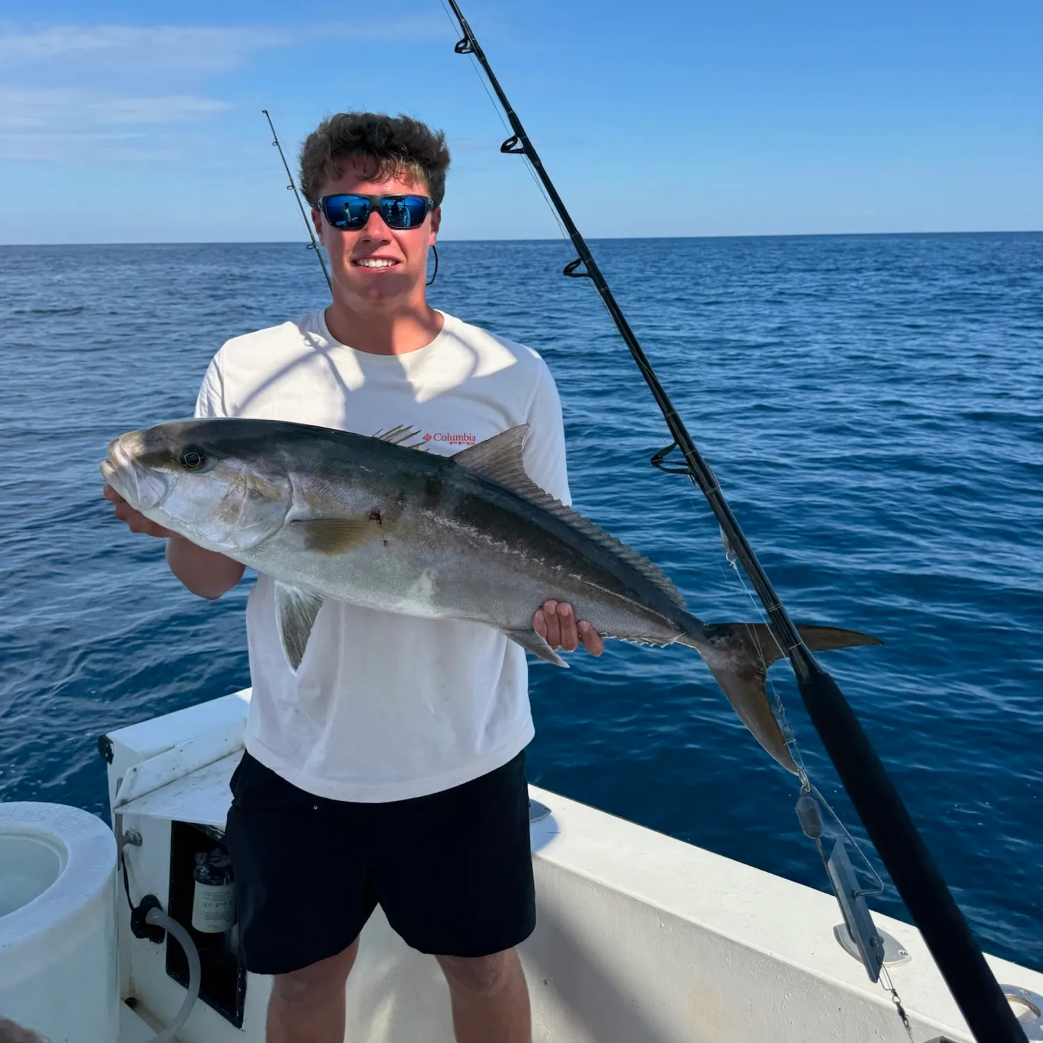Greater amberjack caught on Fishbrain