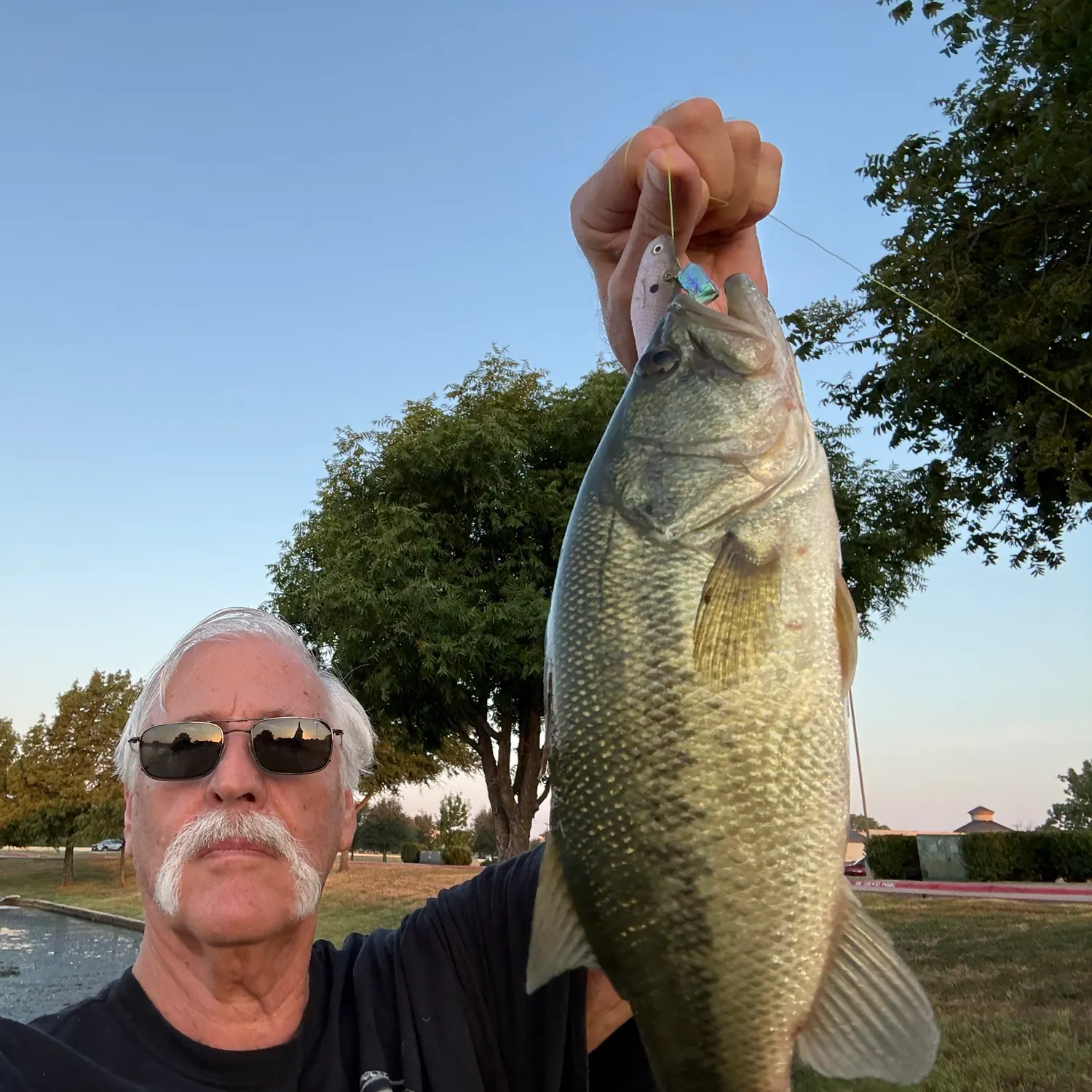 Largemouth bass caught on Fishbrain