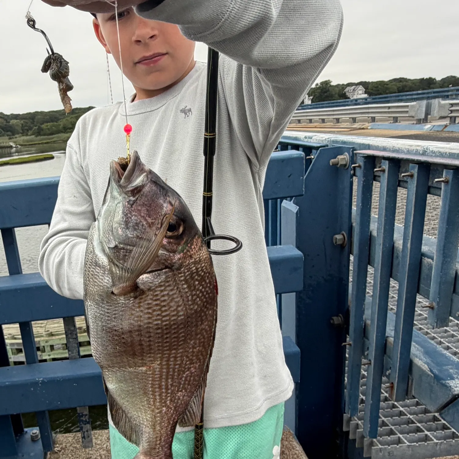 Scup caught on Fishbrain