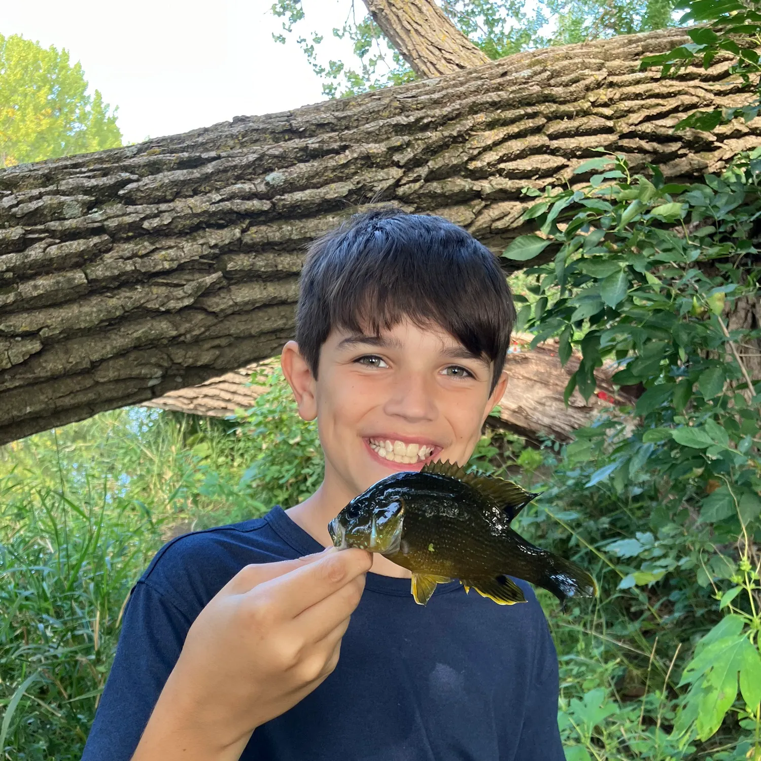 Spotted bass caught on Fishbrain