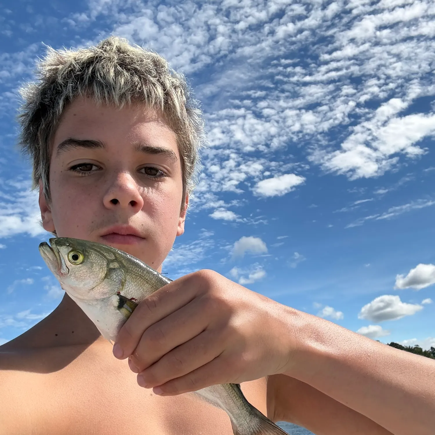 Bluefish caught on Fishbrain