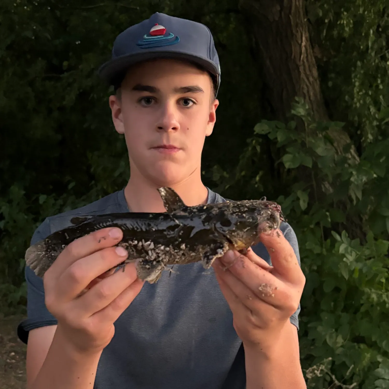 Black bullhead caught on Fishbrain