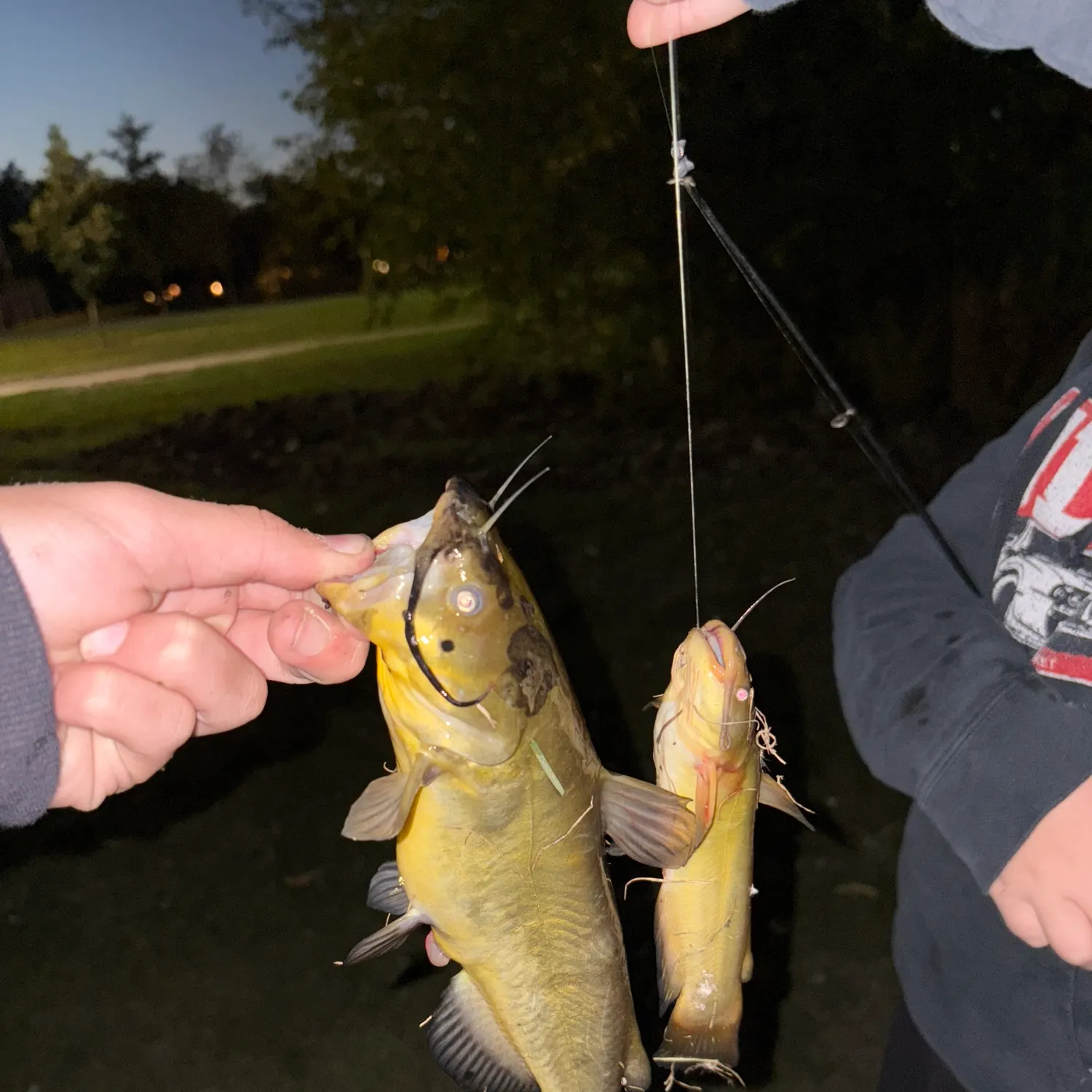 recently logged catches