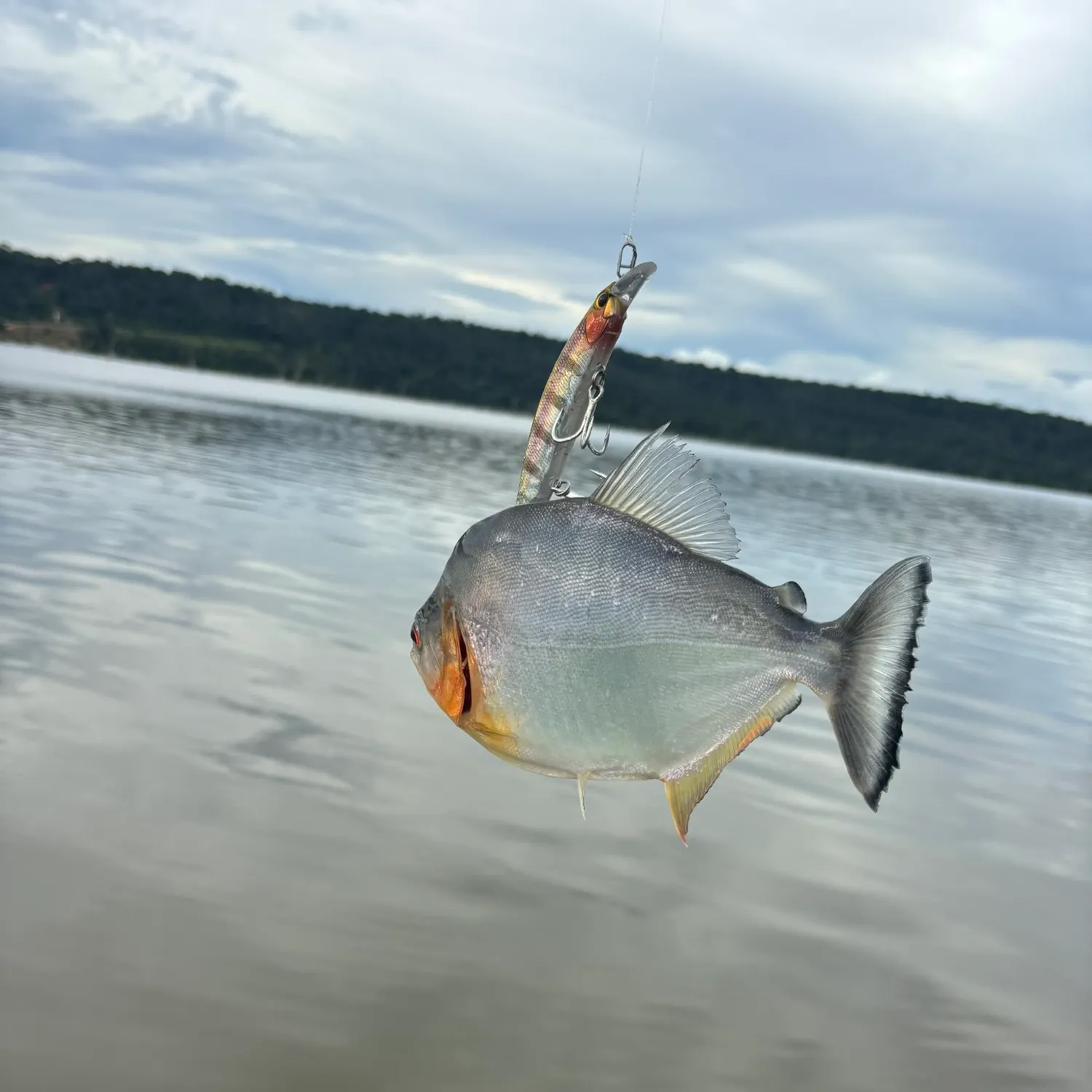 most liked catch image
