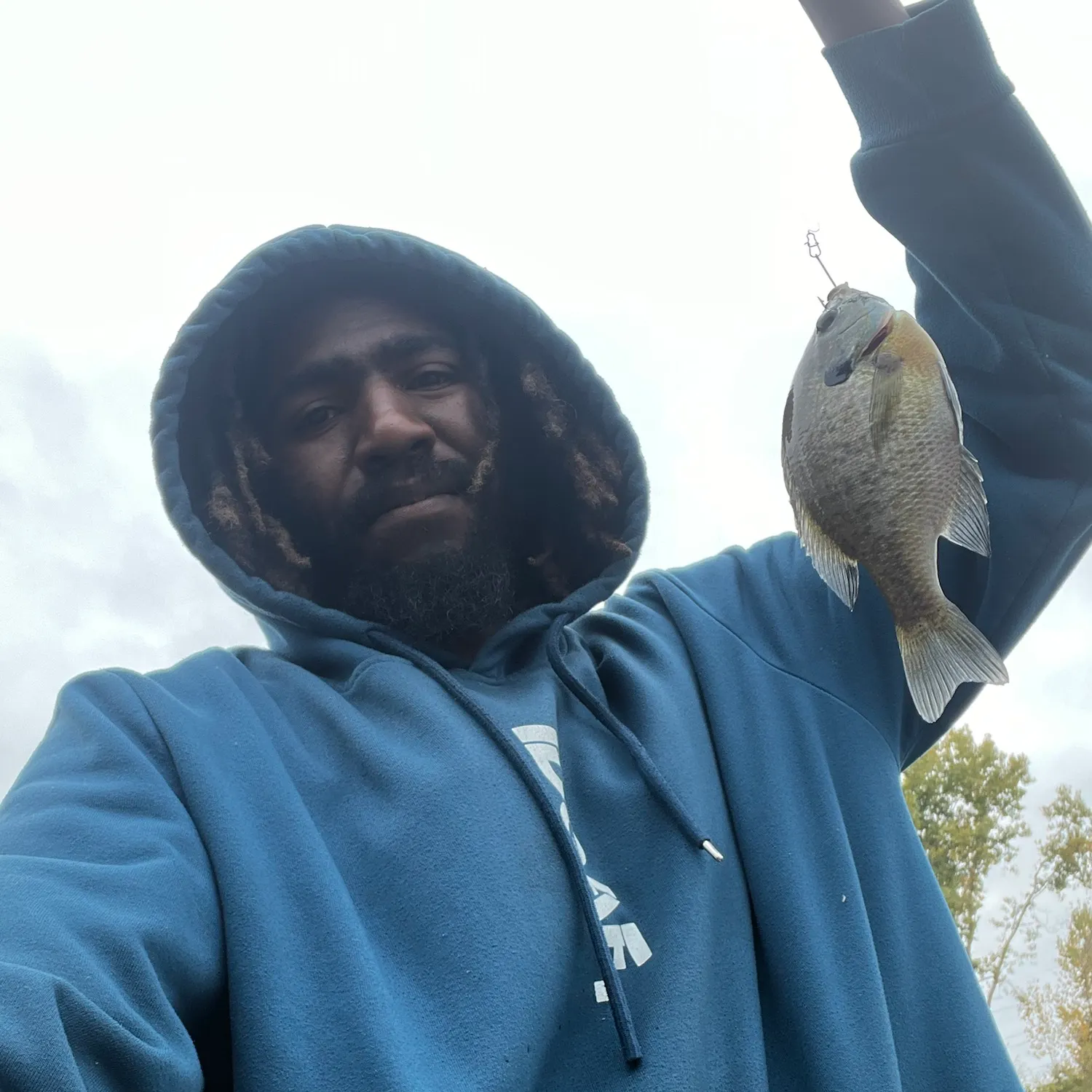 Bluegill caught on Fishbrain