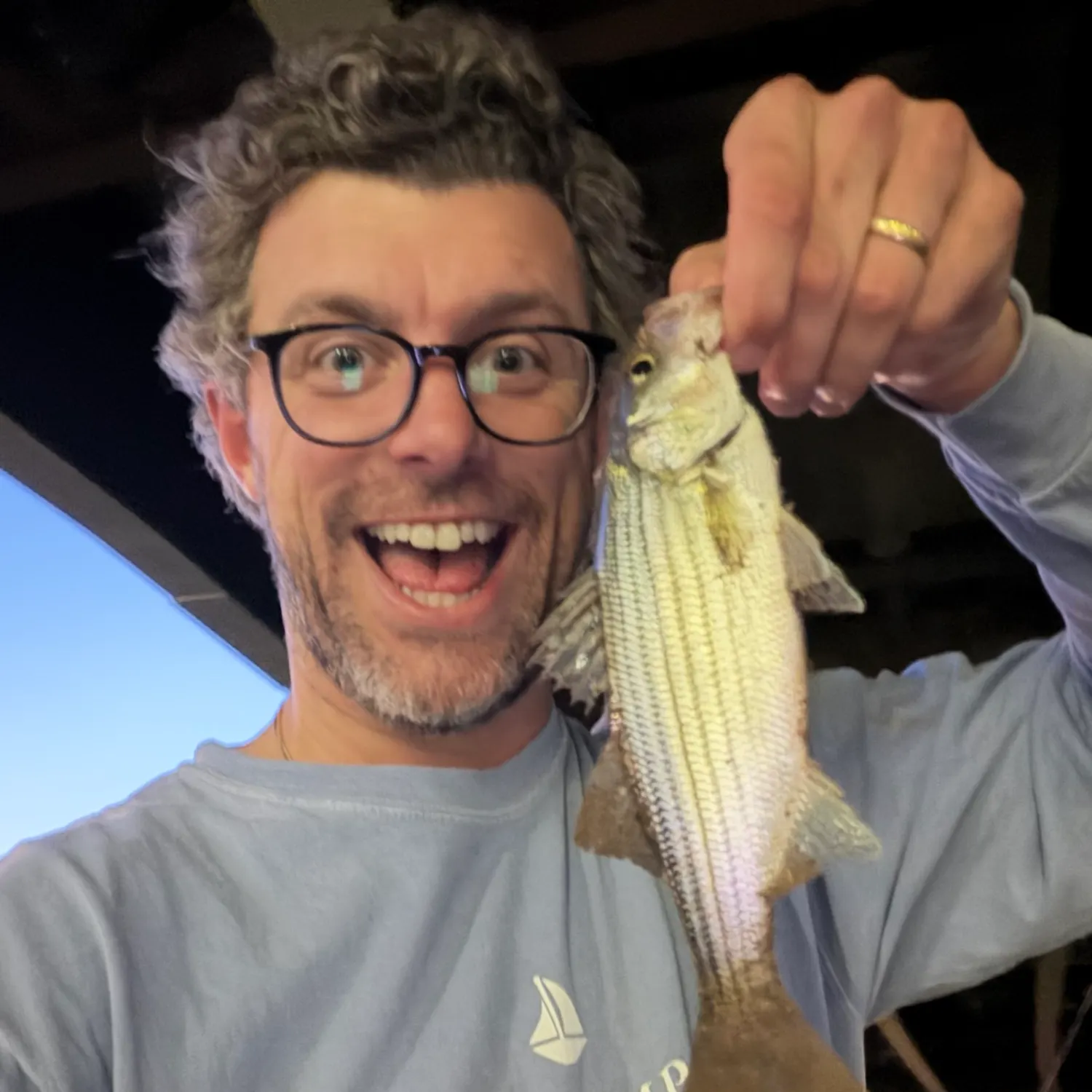 Striped bass caught on Fishbrain