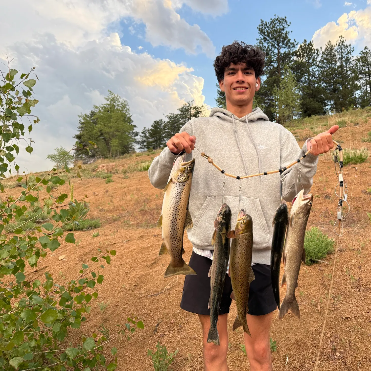 Brown trout caught on Fishbrain