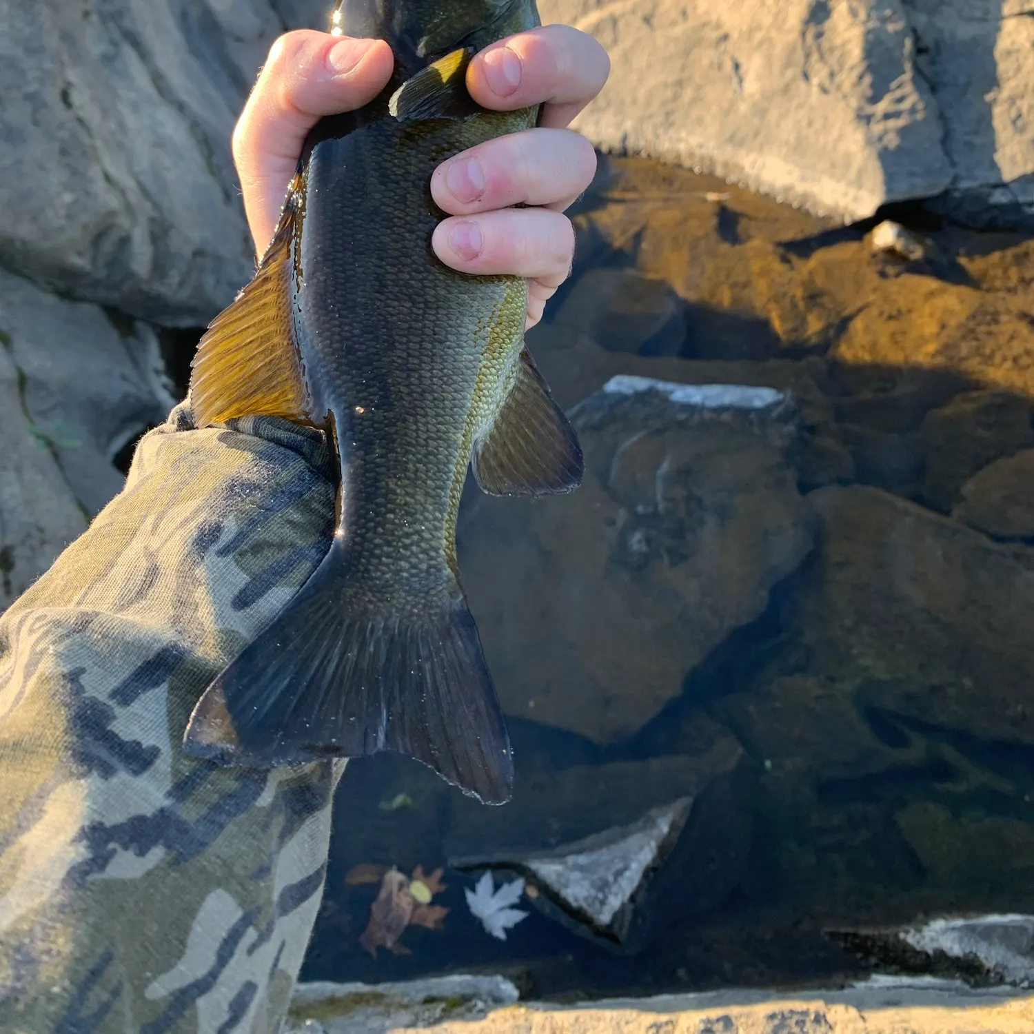 catch