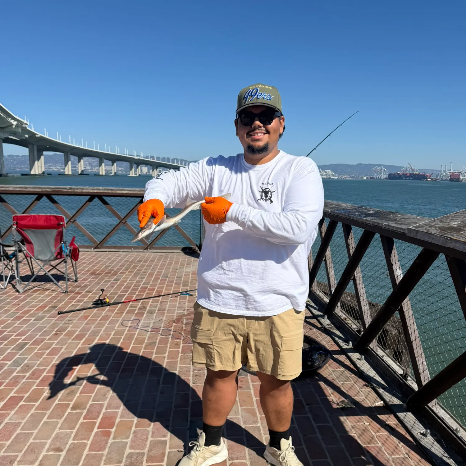 The most recent Brown smooth-hound catches on Fishbrain