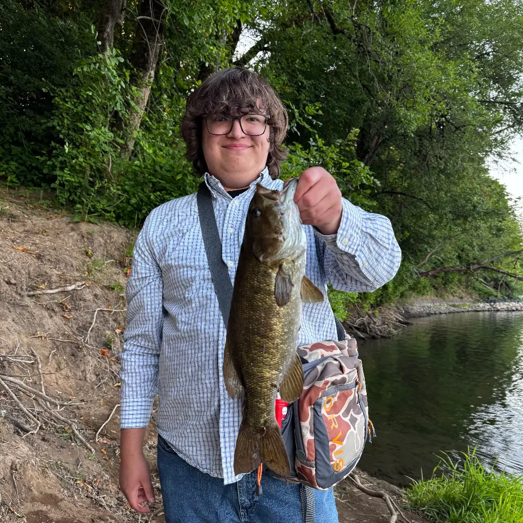 most liked catch image