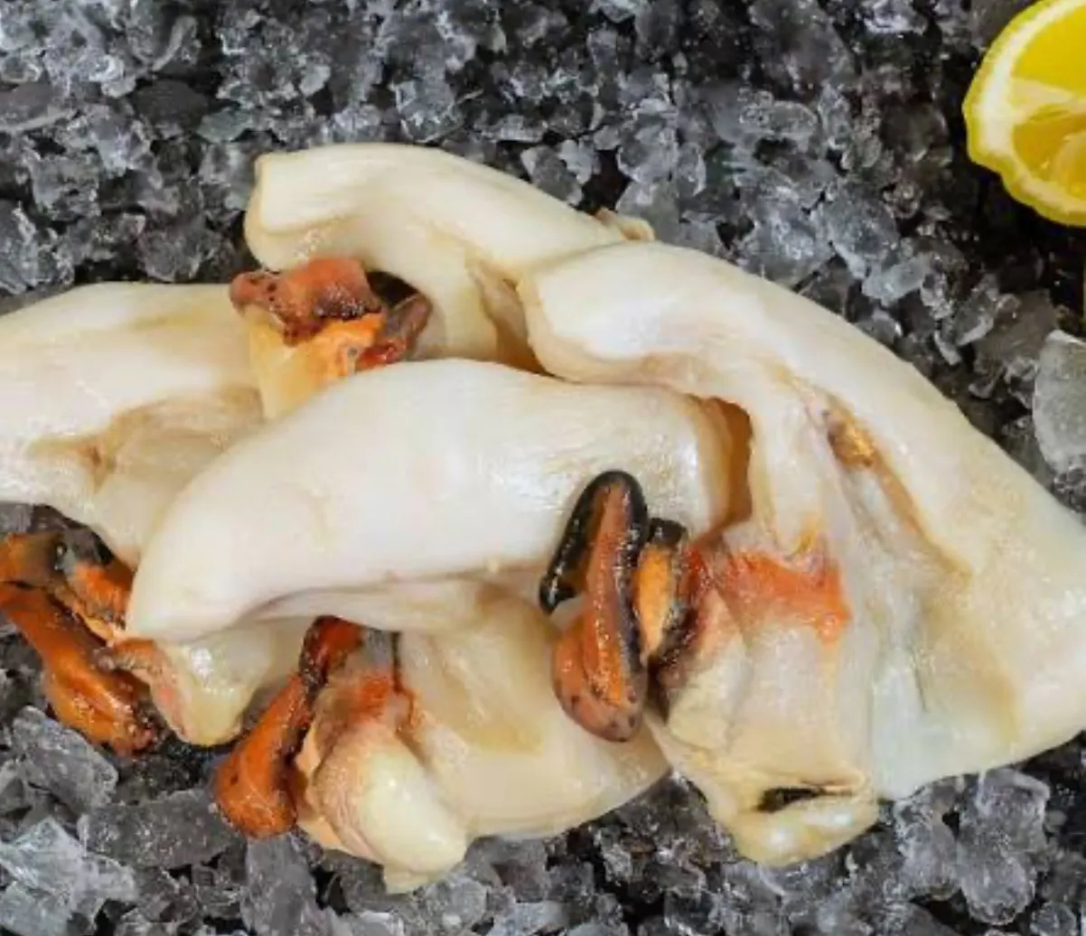 Conch