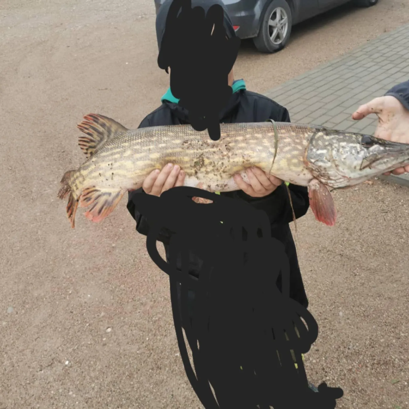 Northern pike caught on Fishbrain