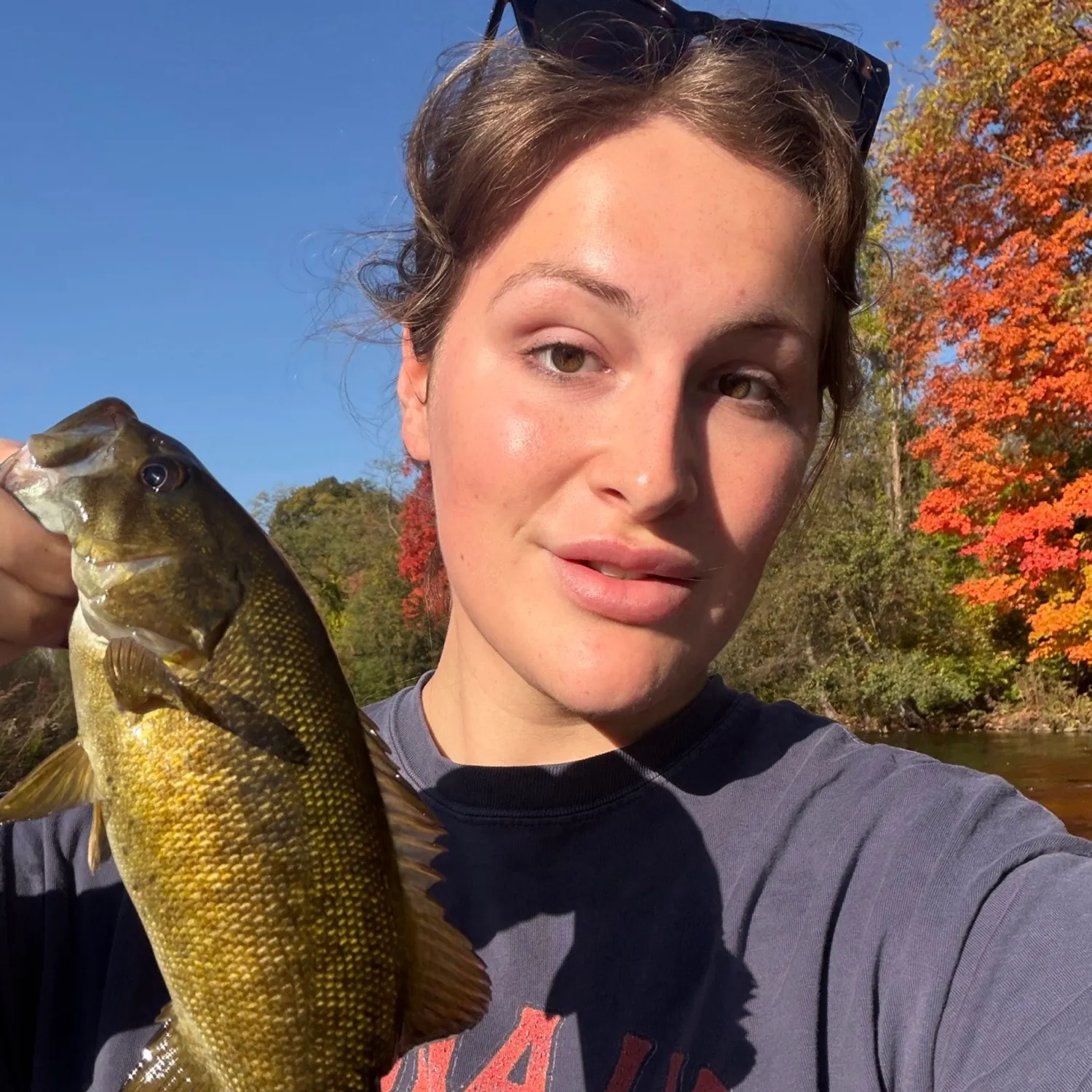 Smallmouth bass caught on Fishbrain