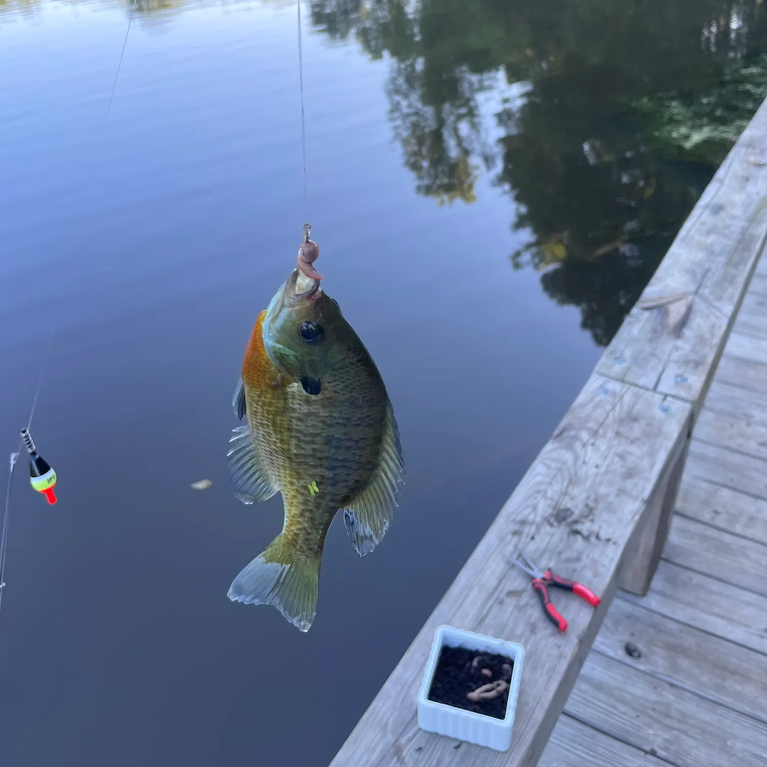 catch