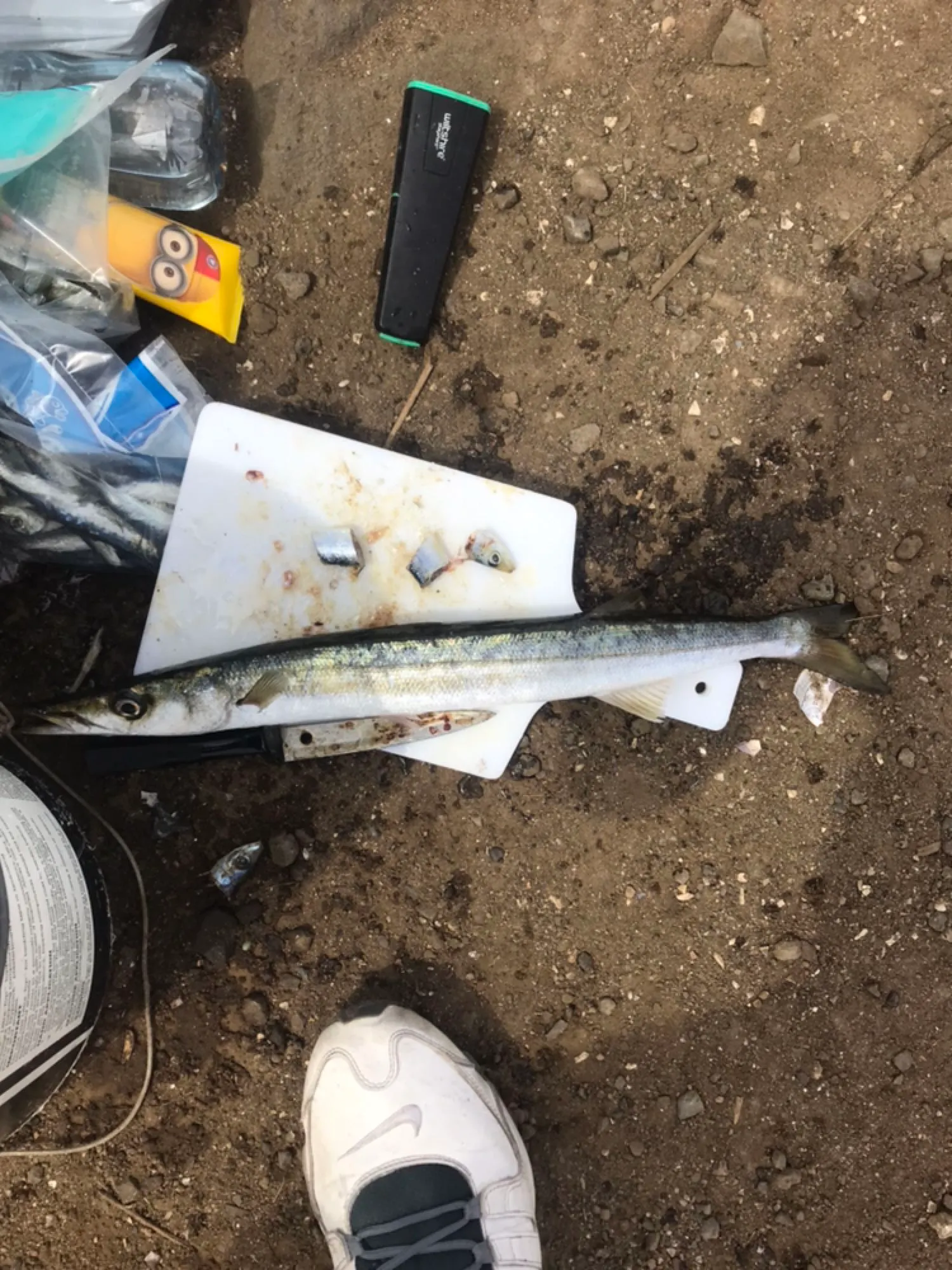 Post image from ayildirim1984