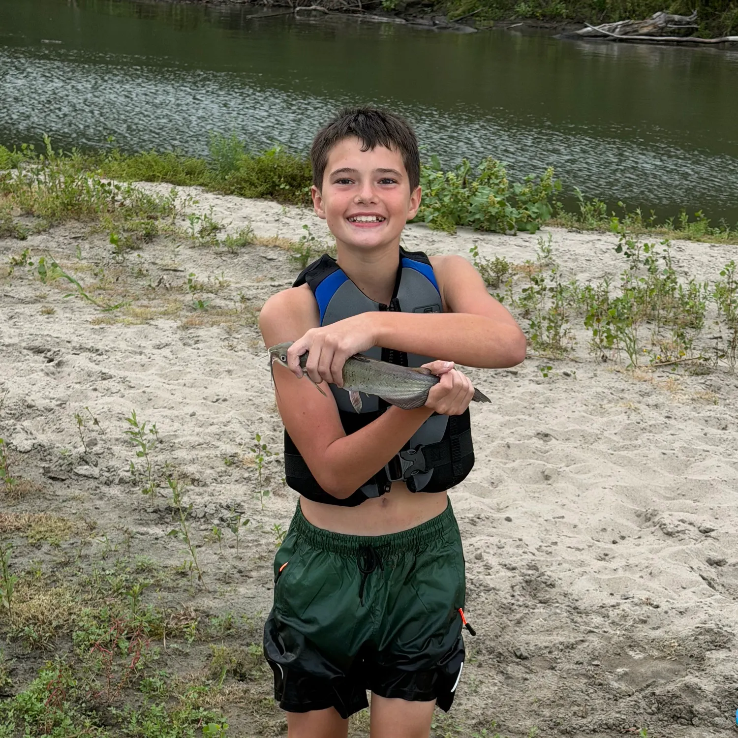 Channel catfish caught on Fishbrain