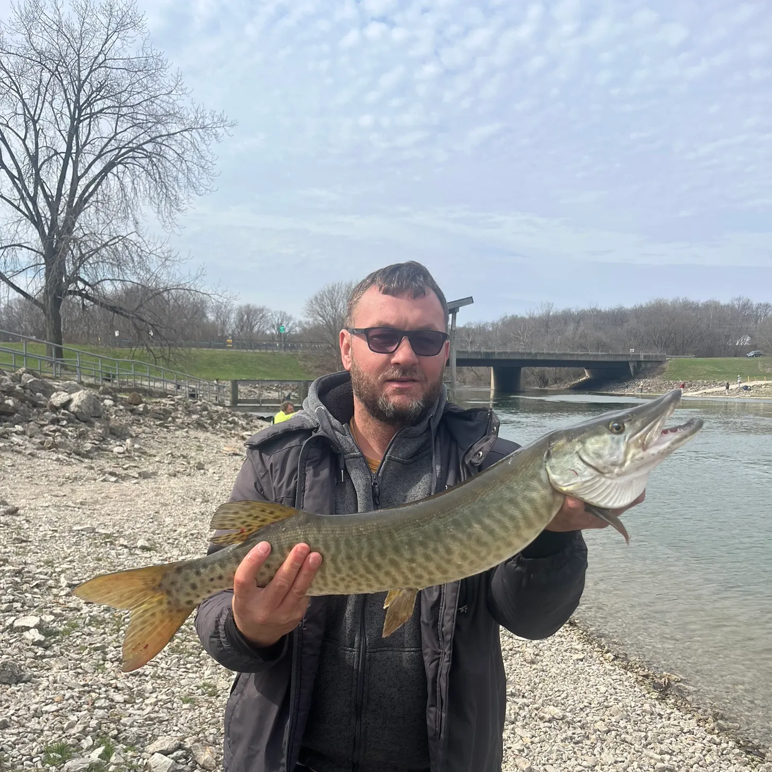 The most recent Muskellunge catches on Fishbrain