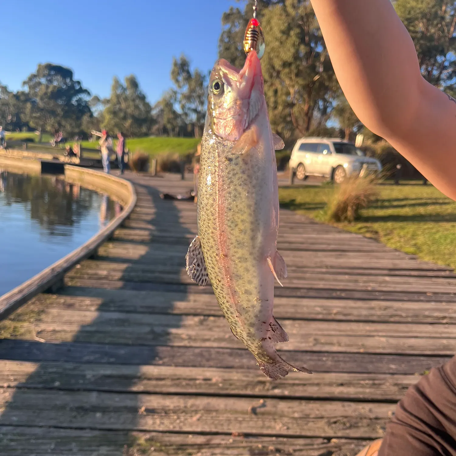 catch