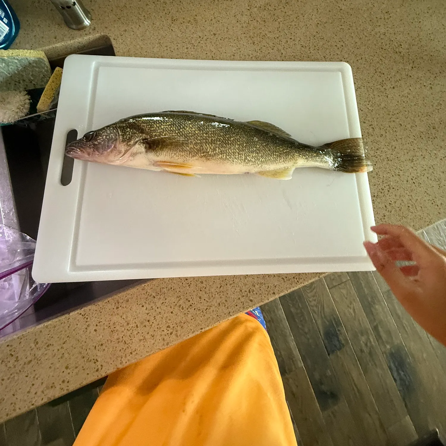 catch