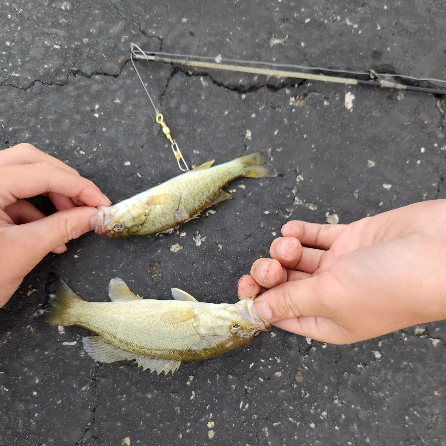 catch