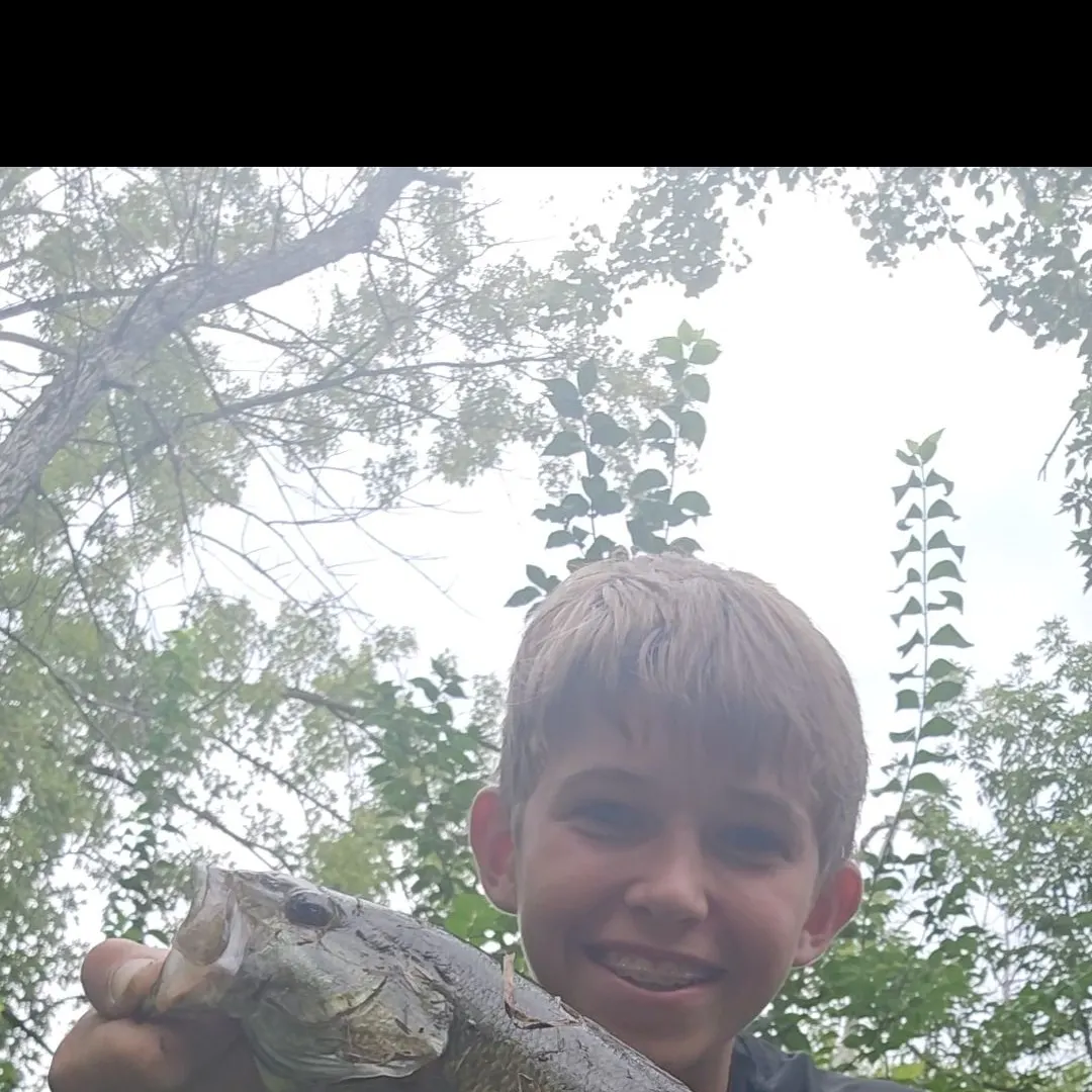 Smallmouth bass caught on Fishbrain
