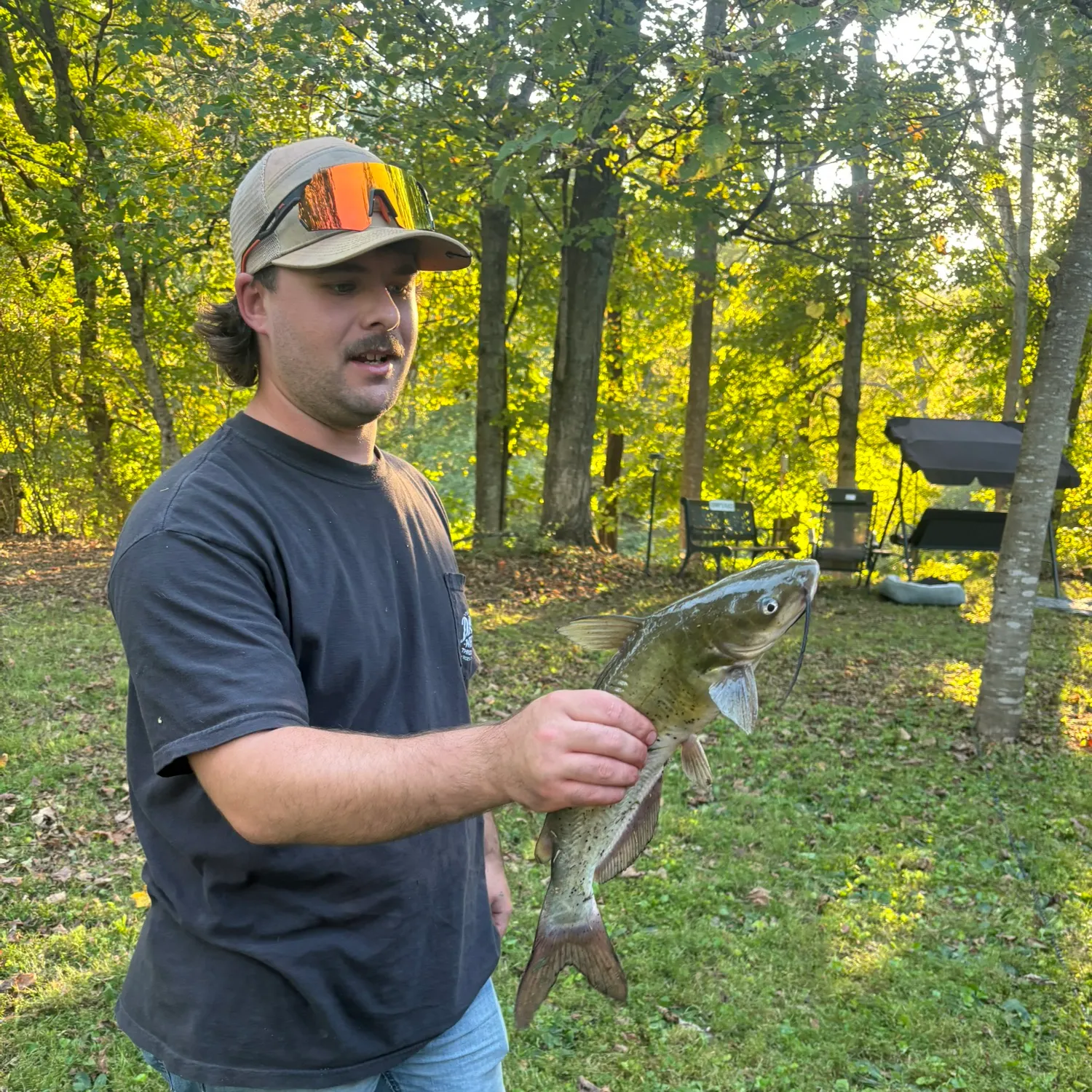 Channel catfish caught on Fishbrain