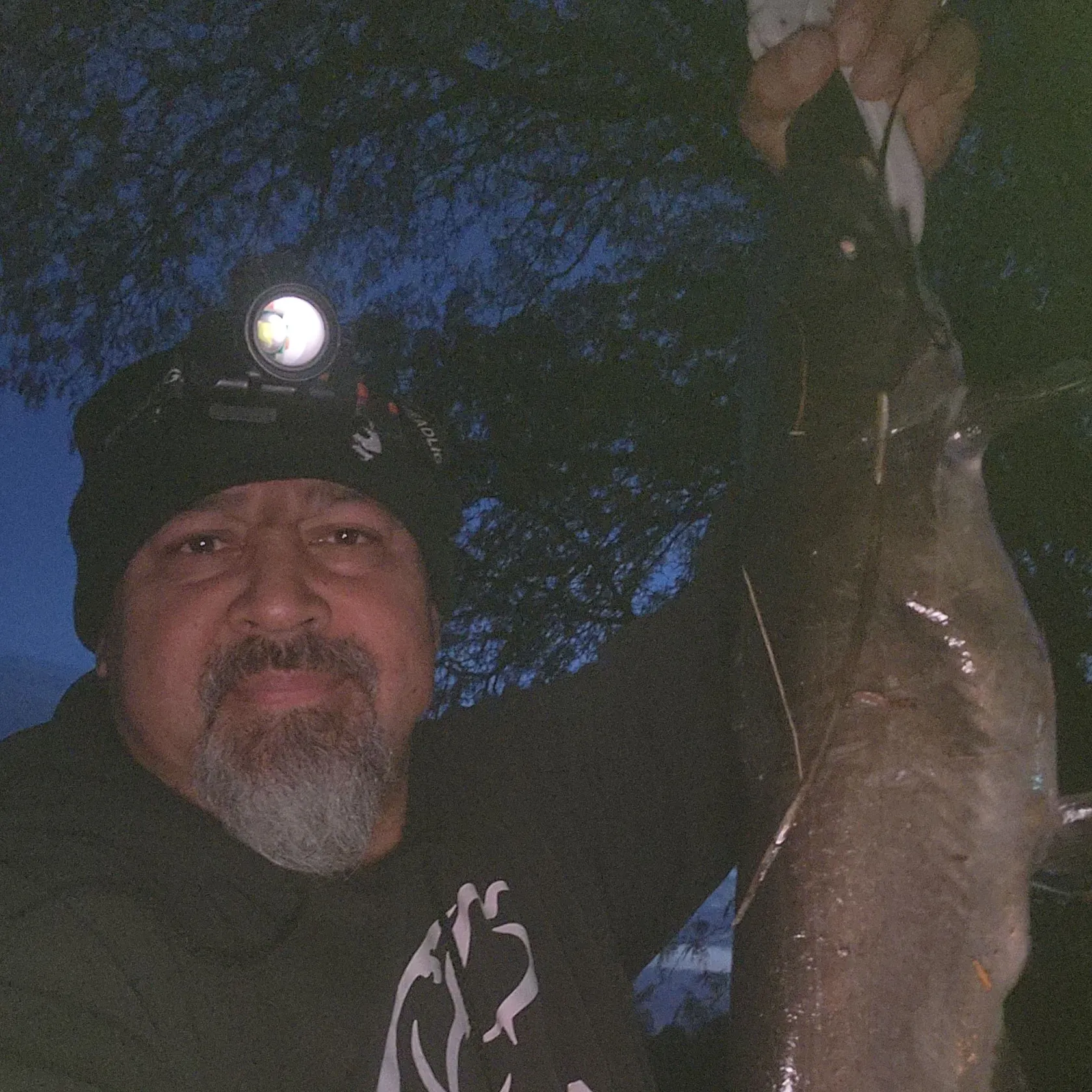 Channel catfish caught on Fishbrain