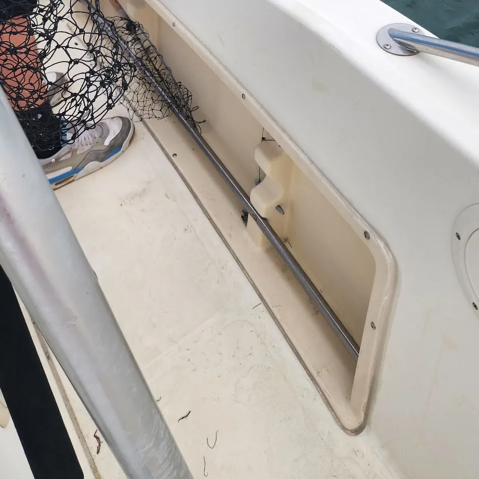 The most recent Blue skate catches on Fishbrain