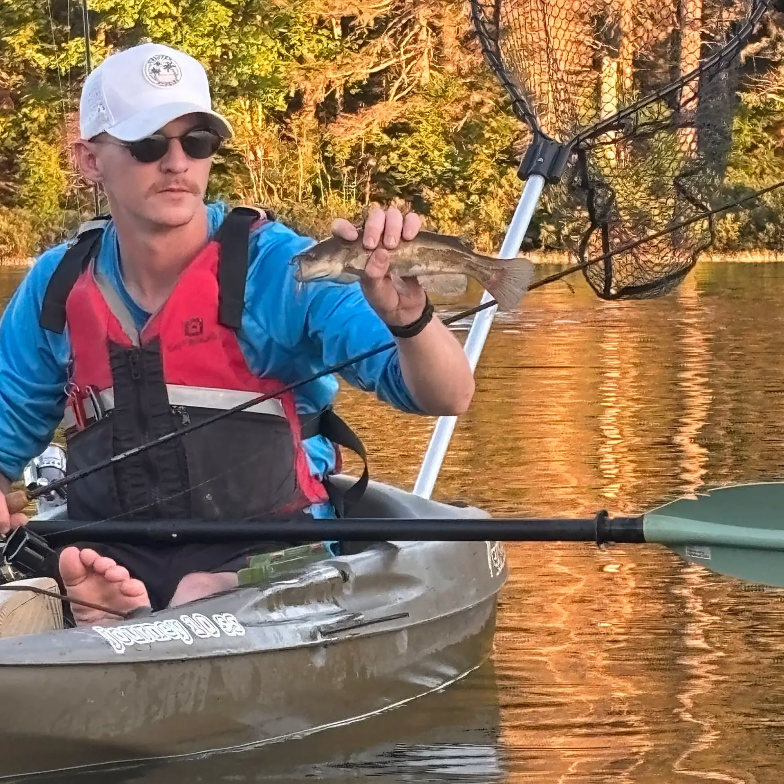 Brown bullhead caught on Fishbrain