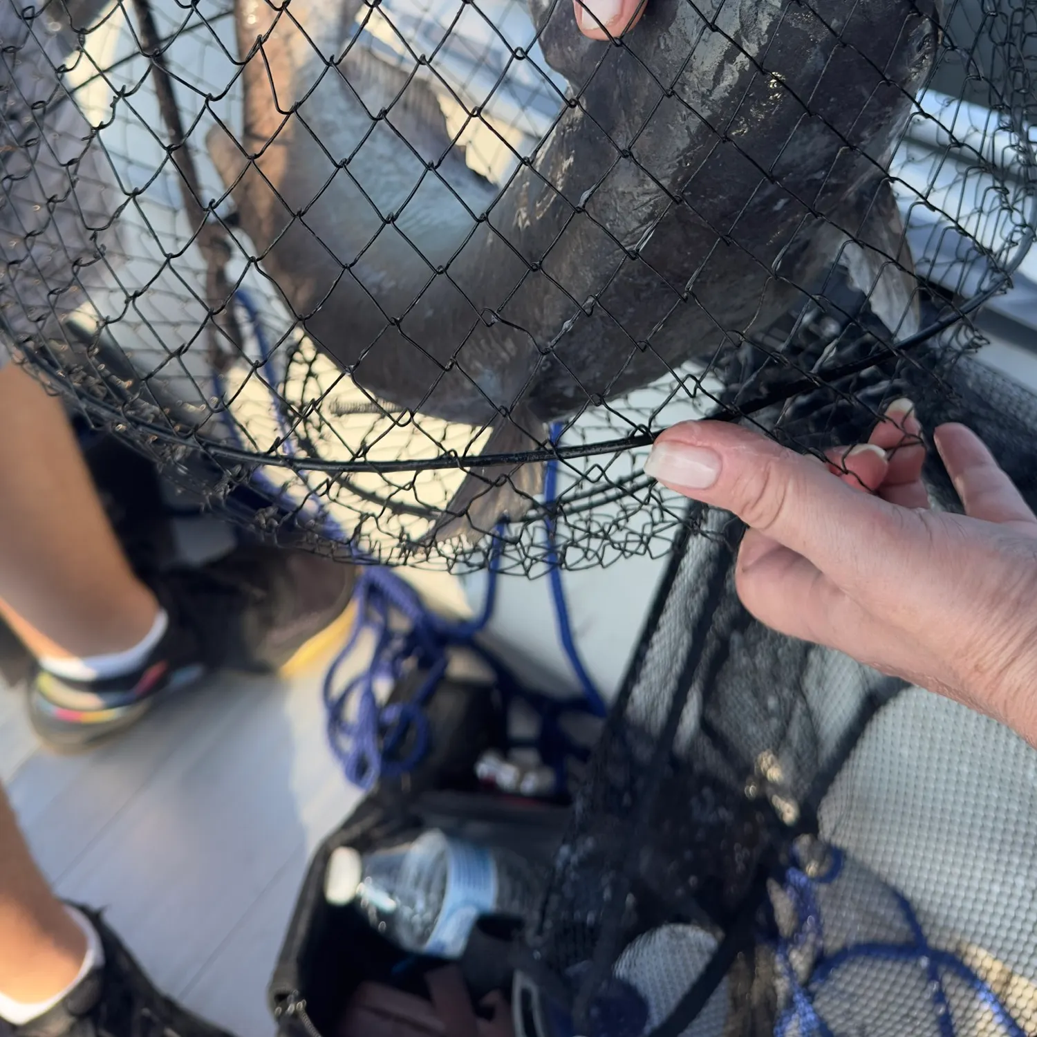 catch