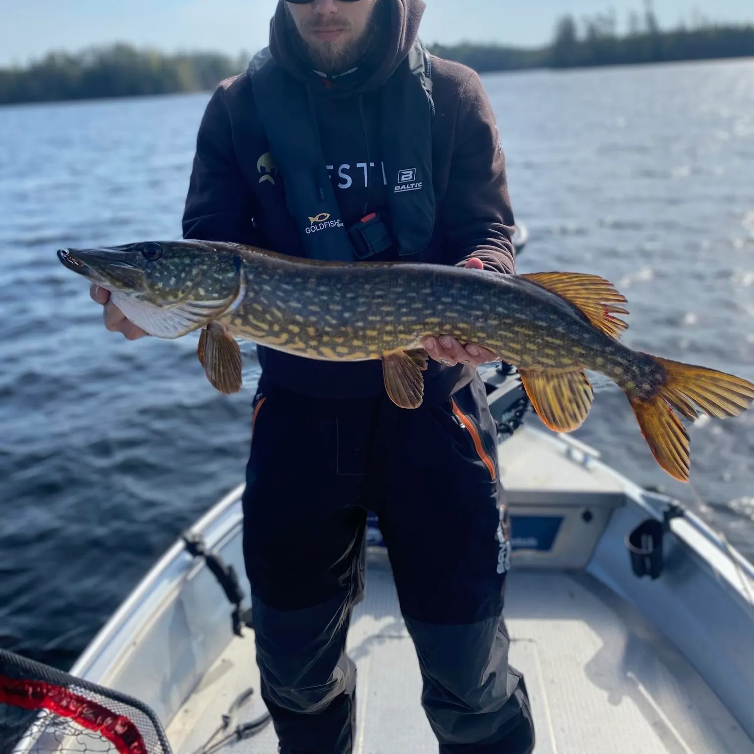 The most popular recent Northern pike catch on Fishbrain