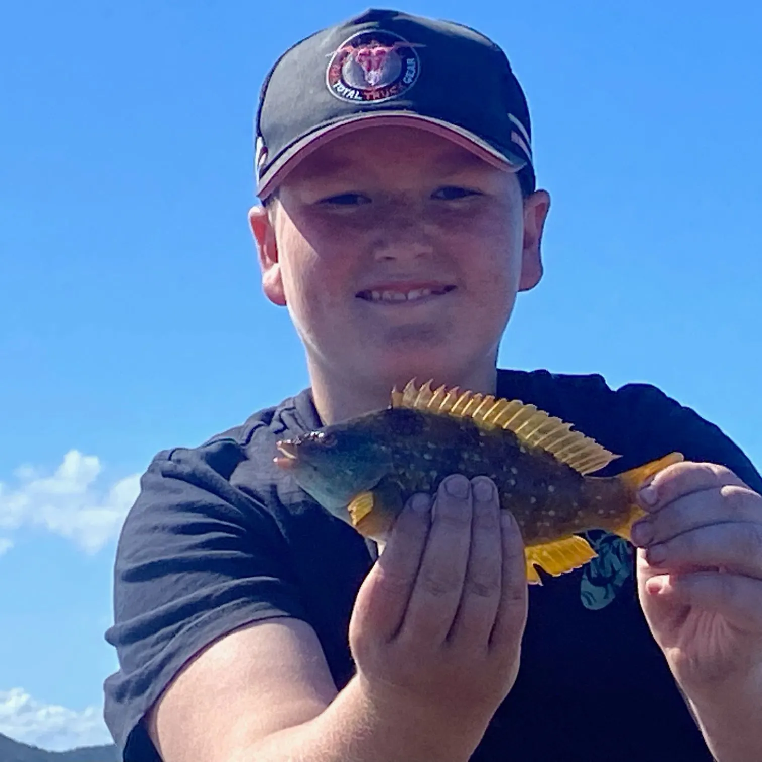 Crimsonbanded wrasse caught on Fishbrain